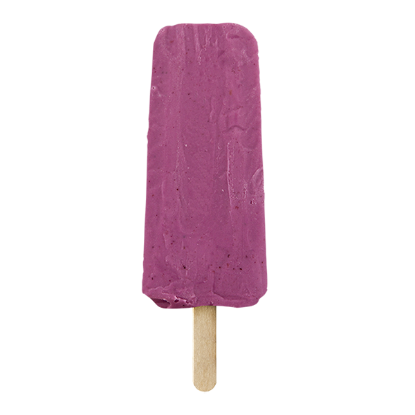 Yogurt ai frutti di bosco - Gelato artigianale - La Bomba (80g)